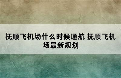 抚顺飞机场什么时候通航 抚顺飞机场最新规划